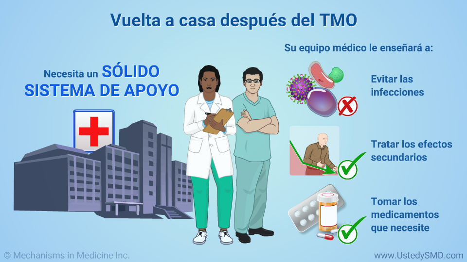 Presentación de diapositivas Trasplante de sangre y médula en SMD